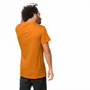 Футболка мужская Jack Wolfskin 365 T M rusty orange