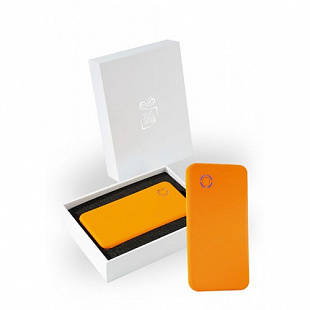 Power Bank Colorissimo Ray 4000 мА/ч PB40OR Orange