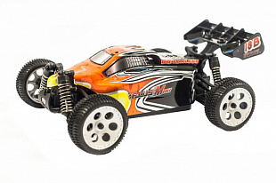 Радиоуправляемая машина FS Racing Mini Focus 1/18 Коллекторная FS-73201