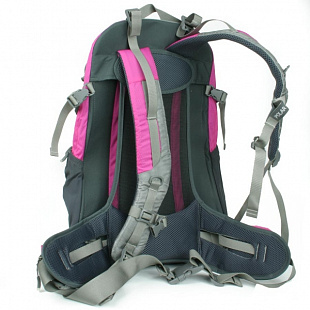 Рюкзак Polar П1556 Pink