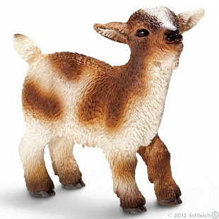 Фигурка животного Schleich Карликовый козёл детёныш 13716 