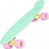 Penny board (пенни борд) Ridex Minty 22'' Penny board (пенни борд) Ridex Minty 22''