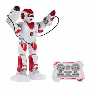 Радиоуправляемый робот Le Neng Toys K2