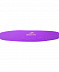 Очки для плавания детские 25Degrees 25D03-FP14-20-31-0 Flappy Pink/Purple
