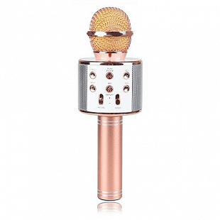 Колонка с функцией Караоке Микрофона Wster WS-858 pink gold
