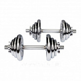 Гантели Hop-Sport 2x10 кг