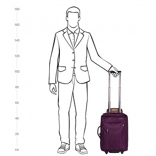 Чемодан малый Pola Р8625 18" 2-ой burgundy