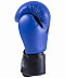 Перчатки боксерские KSA Spider blue