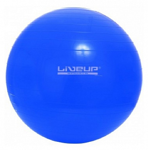 Мяч гимнастический, для фитнеса (фитбол) Liveup LS3221 (65 см)