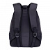 Рюкзак школьный GRIZZLY RD-951-2 /1 black bugs