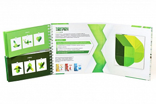 Игра магнитная Десятое Королевство головоломка Танграм Листик 02861