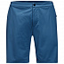 Шорты мужские Jack Wolfskin Jwp Shorts M indigo blue