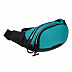 Сумка поясная GRIZZLY MM-916-2 /8 turquoise