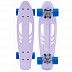 Penny board (пенни борд) Ridex Snowflake 22"x6"