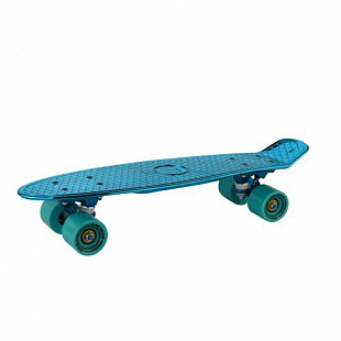 Penny board (пенни борд) RGX PNB-16 22" Turquoise