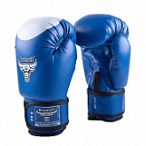 Перчатки боксерские Roomaif Dx RBG-100 blue
