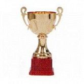 Кубок А4 23 см