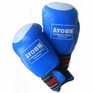 Перчатки боксерские Ayoun синие (967)