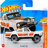 Машинка Hot Wheels Базовой коллекции '73 Jeep J10 91/250 (5785 HTF00)