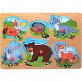Игрушка развивающая деревянная 277A-2725