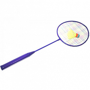 Ракетка для бадминтона Zez Sport DT01