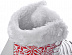 Коньки фигурные Tempish North