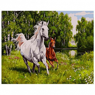 Картина по номерам Picasso Дикие лошади PC4050239