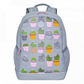 Рюкзак школьный GRIZZLY RG-163-6 /1 grey