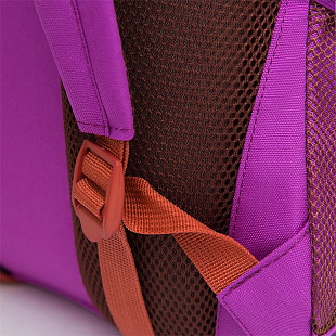 Рюкзак школьный GRIZZLY RD-041-3 /1 purple