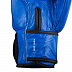 Перчатки боксерские Roomaif RBG-100 blue