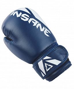 Перчатки боксерские Insane MARS IN22-BG100 6 oz	 blue