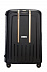 Чемодан Samsonite S`Cure DLX 69см U44-29001 Black/Gold Чемодан Samsonite S`Cure DLX 69см U44-29001 Black/Gold
