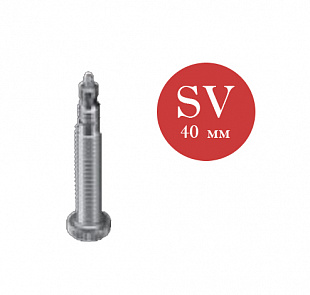 Велокамера Schwalbe 28/47-622 (700x28/45C) FV40 BOX 10429343