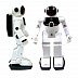 Интерактивная игрушка Silverlit Робот Собери Сам