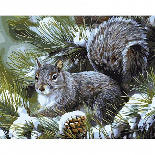 Картина по номерам Picasso Белочка PC4050390