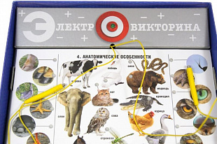 Электровикторина Десятое Королевство Учись играя! 02843