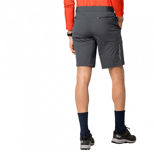 Шорты мужские Jack Wolfskin Delta Shorts M dark iron