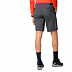 Шорты мужские Jack Wolfskin Delta Shorts M dark iron