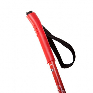 Палки лыжные RGX Cosmic Red