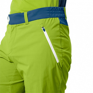 Брюки мужские Jack Wolfskin Overland Shorts M spring lime