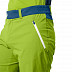 Брюки мужские Jack Wolfskin Overland Shorts M spring lime