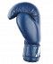 Перчатки боксерские Insane MARS IN22-BG100 8 oz	 blue
