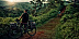 Сумка велосипедная Thule Pack n Pedal Adventure Touring Pannier большая black (100005)