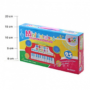 Игрушка Shenzhen Toys Синтезатор Mini Fairyland SS221
