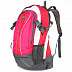 Городской рюкзак Polar ТК1016 pink