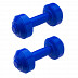 Гантели Престиж FIT Комплект 1,95 кг blue