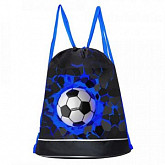 Мешок для обуви GRIZZLY OM-11-5 /1 black/blue