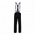Брюки горнолыжные мужские Husky Goilt M black
