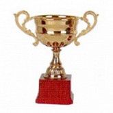 Кубок C2 21 см