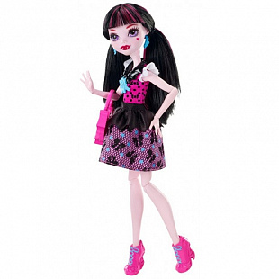 Куклa Monster High Первый день в школе DNW97 DNW98